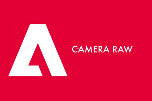 强大的 RAW 图像处理工具 Adobe Camera Raw v17.3 Windows 最新版
