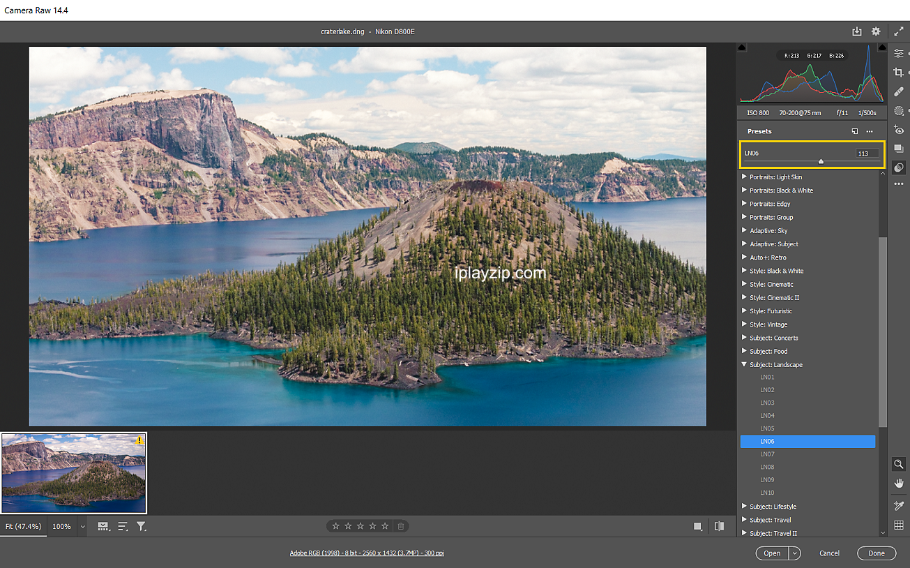 Adobe Camera Raw v17.3 界面