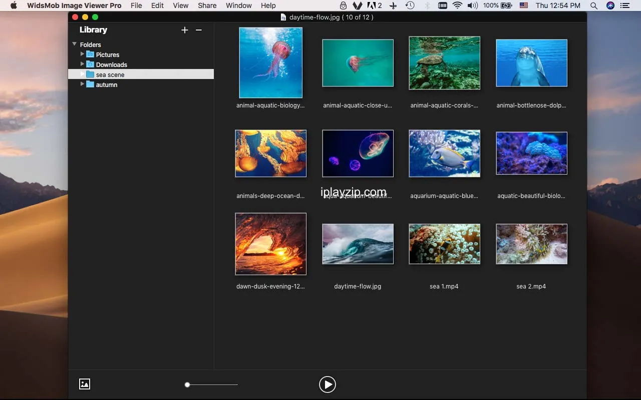 WidsMob Viewer Pro 操作界面