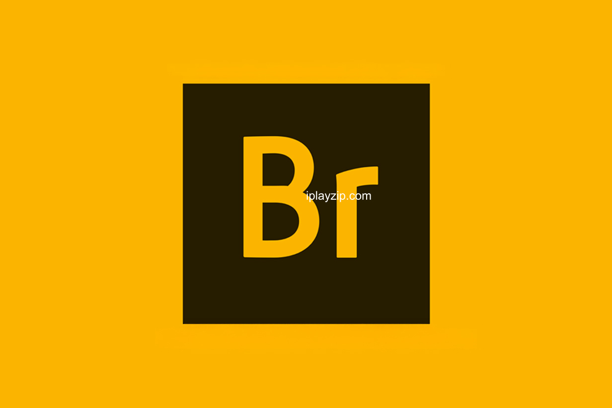 高效的数字资产管理工具 Adobe Bridge 2025 v15.0.4 破解版