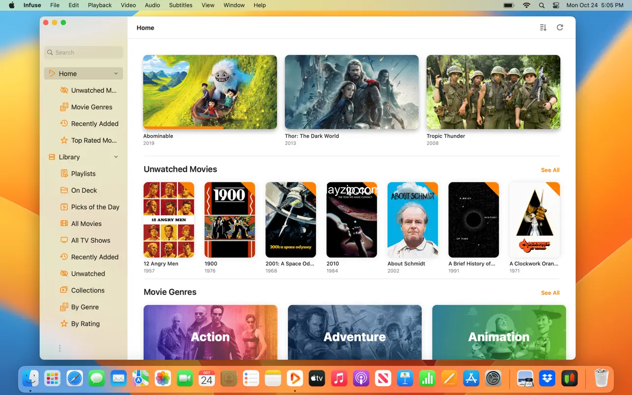 Infuse 界面截图