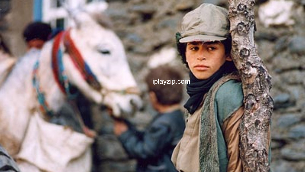 醉马时刻 Zamani barayé masti asbha 2000 高清中字 网盘下载