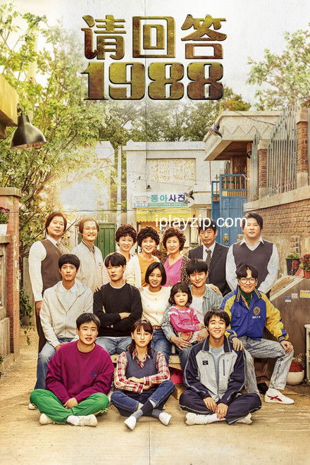 请回答 1988 Reply 1988 2016 韩语中字 1080P 网盘下载