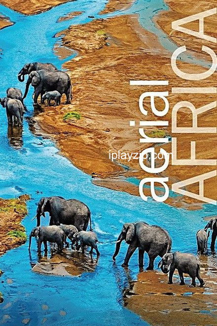 俯瞰非洲 Aerial Africa 2018 1080P 双语字幕 网盘下载