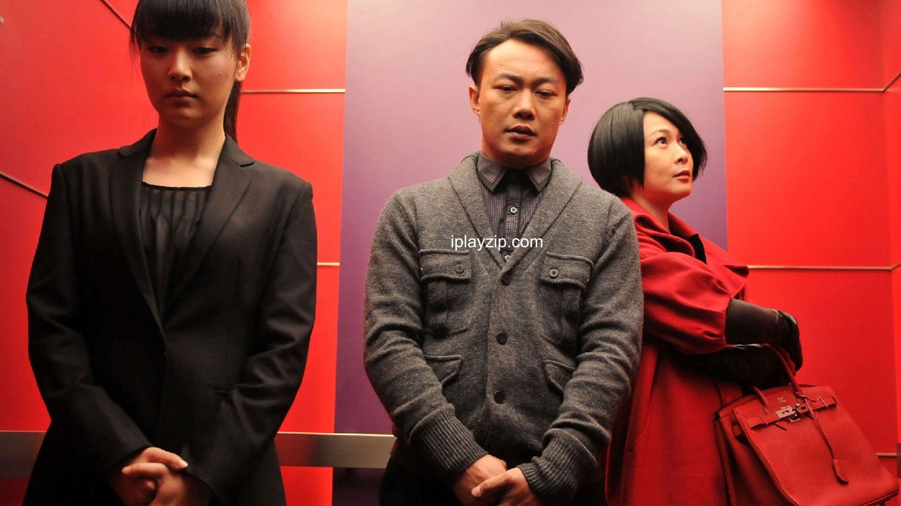 隐婚男女 Mr Mrs Single 2011 720p x264 高清 中字 网盘下载