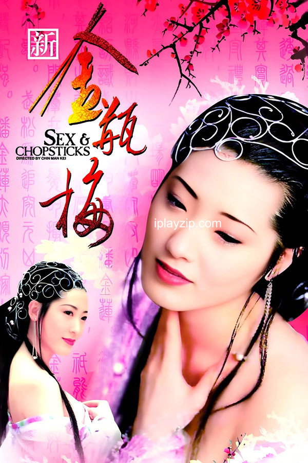 新金瓶梅 1996 全 5 集 1080p 国语音轨 内嵌简中 网盘下载
