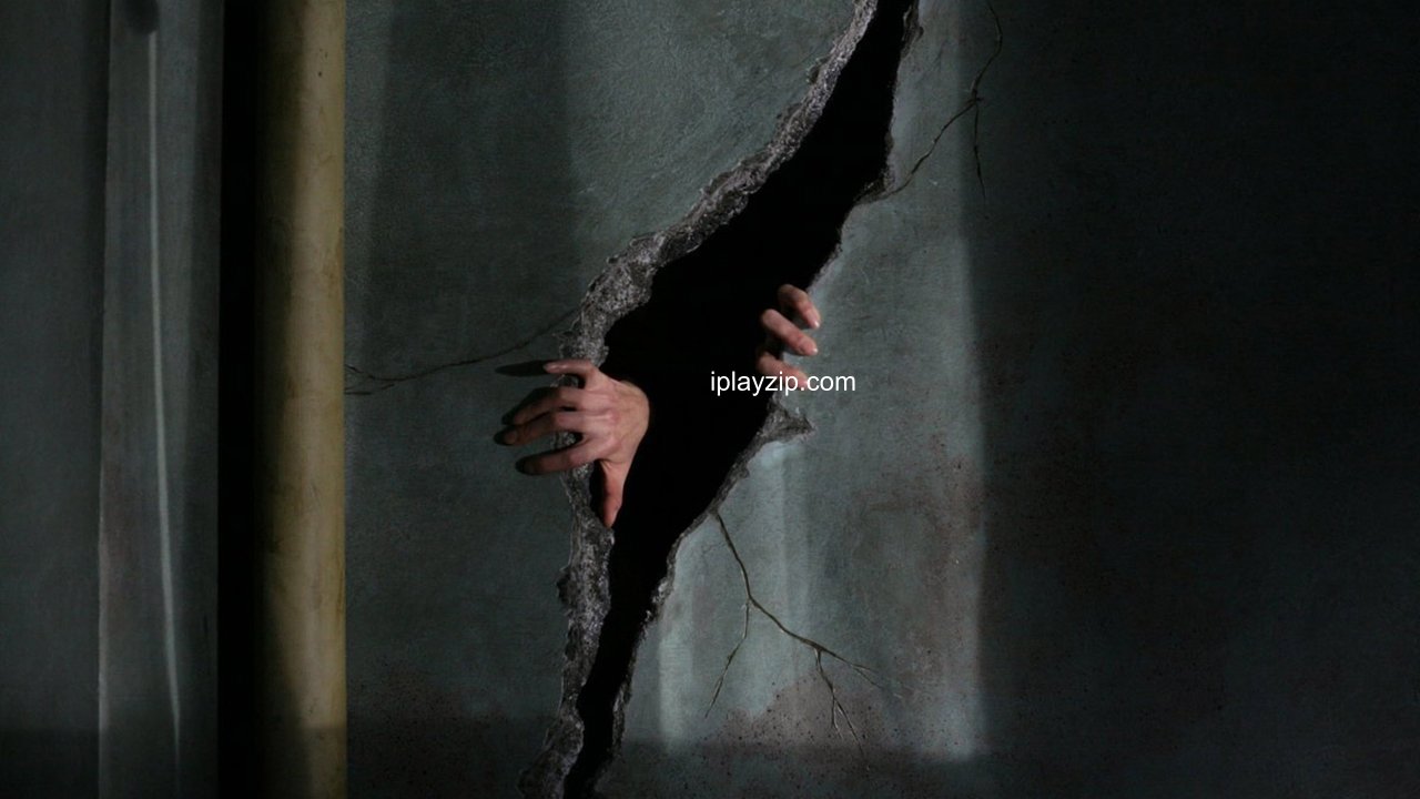 呼喊（叫） 2006 1080P 外挂中字 4.2G 网盘下载