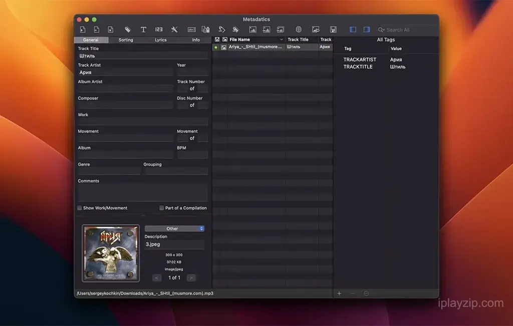 高级音频元数据编辑工具 Metadatics v1.7.1 破解版 高级音频元数据编辑工具 Metadatics v1.7.1 破解版