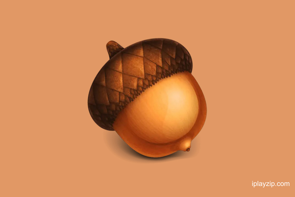绘图与图像编辑的魔法工具 Acorn v8.0.1 破解版