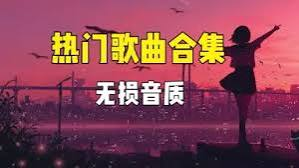 2026 年 2 月热门网红流行新歌合集