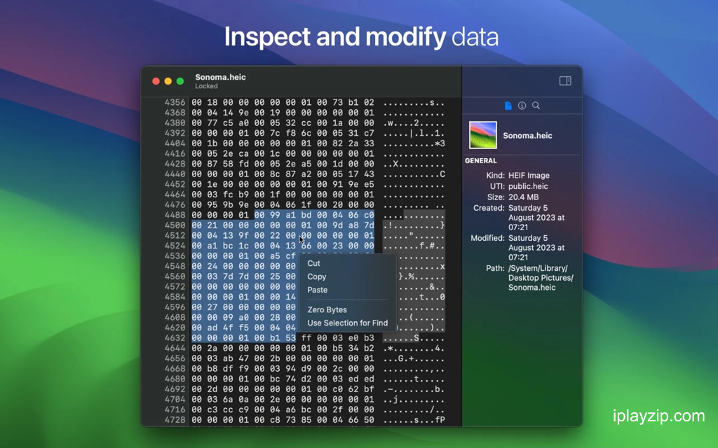 轻量级十六进制编辑器 HextEdit v1.0.7 破解版