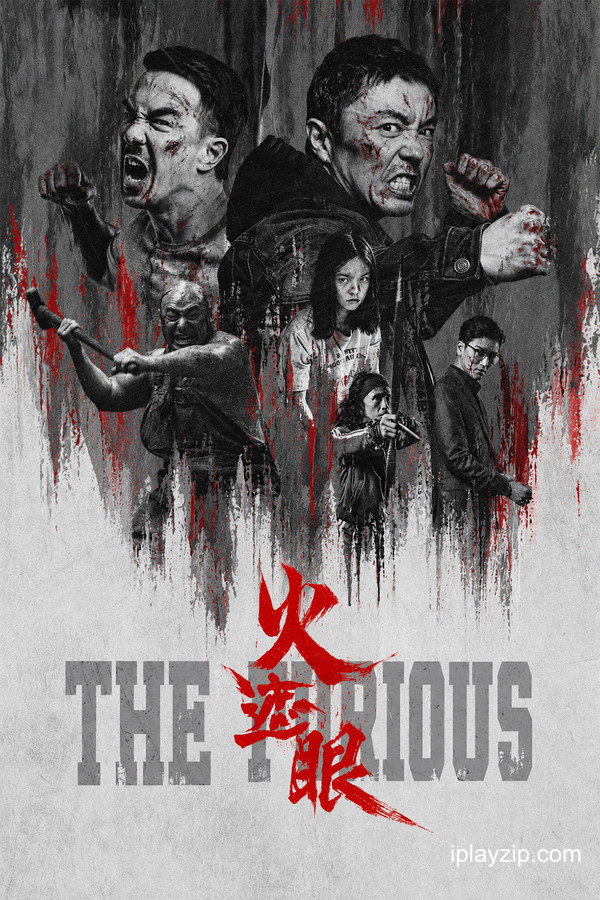 火遮眼 The Furious 2025 1080p 高清中字 网盘下载
