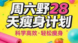 28 天高效瘦身计划 居家燃脂健身课程 网盘下载