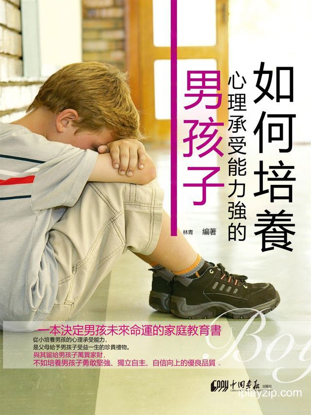 如何培养心理承受能力强的男孩子 林青 让男孩受益终身的杰出少年培养攻略 PDF 网盘下载 如何培养心理承受能力强的男孩子 林青 让男孩受益终身的杰出少年培养攻略 PDF 网盘下载