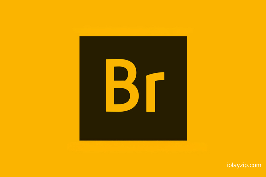 高效的数字资产管理工具 Adobe Bridge 2026 v16.0.4.40 Windows 直装版