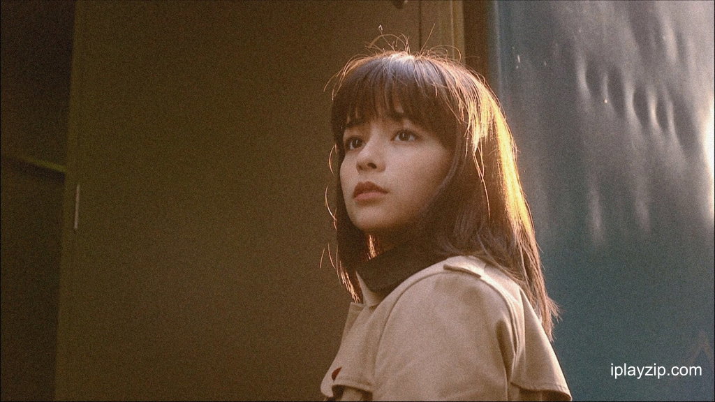 天国遥遥 Faraway Heaven 2008 1080p 高清中字 网盘下载