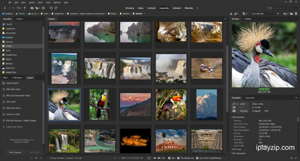 高效的数字资产管理工具 Adobe Bridge 2026 v16.0.4.40 Windows 直装版 高效的数字资产管理工具 Adobe Bridge 2026 v16.0.4.40 Windows 直装版操作界面
