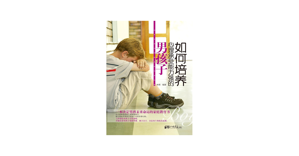 如何培养心理承受能力强的男孩子 林青 PDF 网盘下载